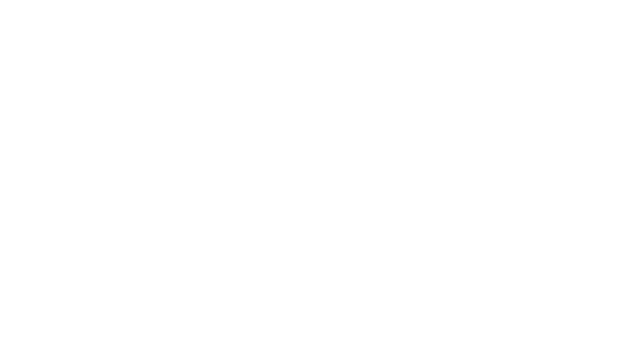 zx 3